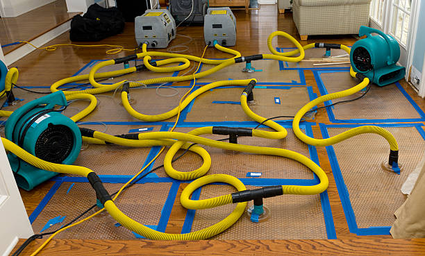 Professional Crawl Space Water Removal technician working in Lake Grove, NY